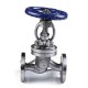 Flow control Stainless Steel API 600 pattern Flang End connection SS flanged Globe valve