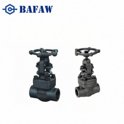 Threaded Flanged Forged Steel Gate Valve